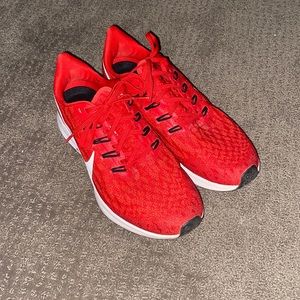 Nike Air Zoom Pegasus